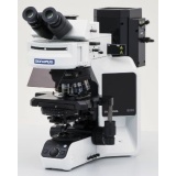 奥林巴斯生物显微镜BX53