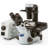 倒置显微镜CKX53