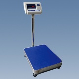 DZ100E精密电子天平110kg/10g