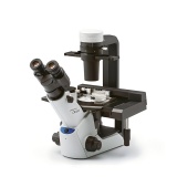 倒置荧光显微镜CKX53 三目 奥林巴斯