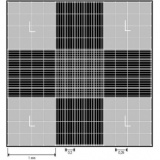 血细胞计数板，改进Neubauer型，明线型