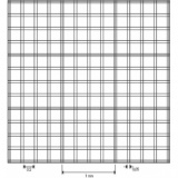 血细胞计数板，Buerker型，不含弹簧夹