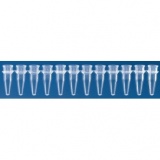 十二联PCR管，0.2 ml，无盖，蓝色