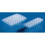 24孔PCR板， PP材质，无裙边，透明，0.2 ml，用于qPCR，BIO-CERT  PCR QUALITY
